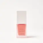 Technic Liquid Blusher