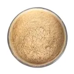 Technic Colour Fix Loose Pwder