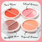 Technic Coupled Up Blush Duo