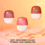 Technic Sundrenched Liquid Blush